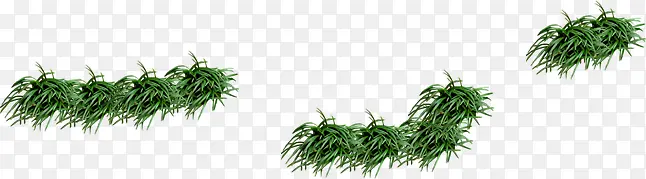 ��������������ֲ-������