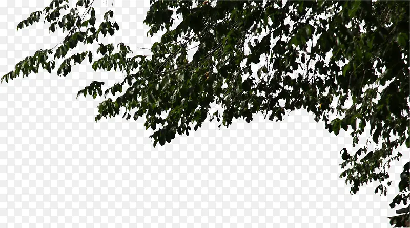 ���廷����Ӱ����ϳ�Ч��-������