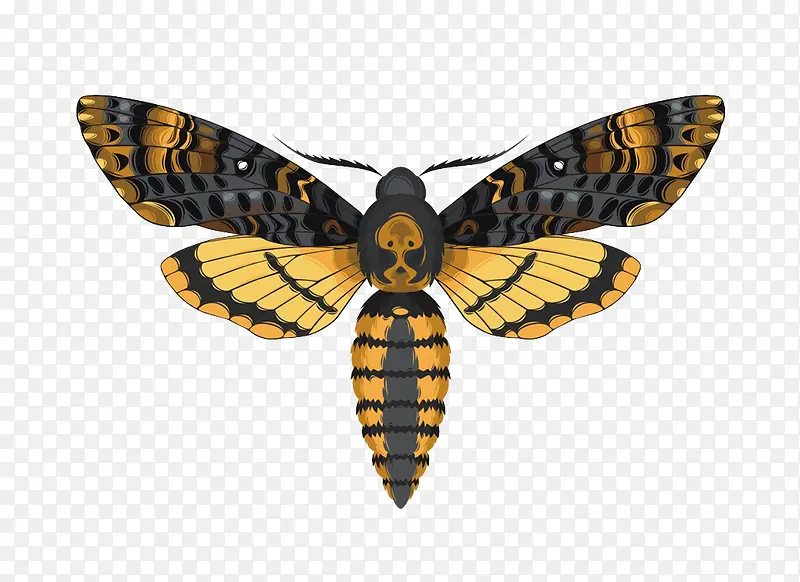 �ֻ����-������