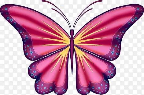 ������ͨ-������