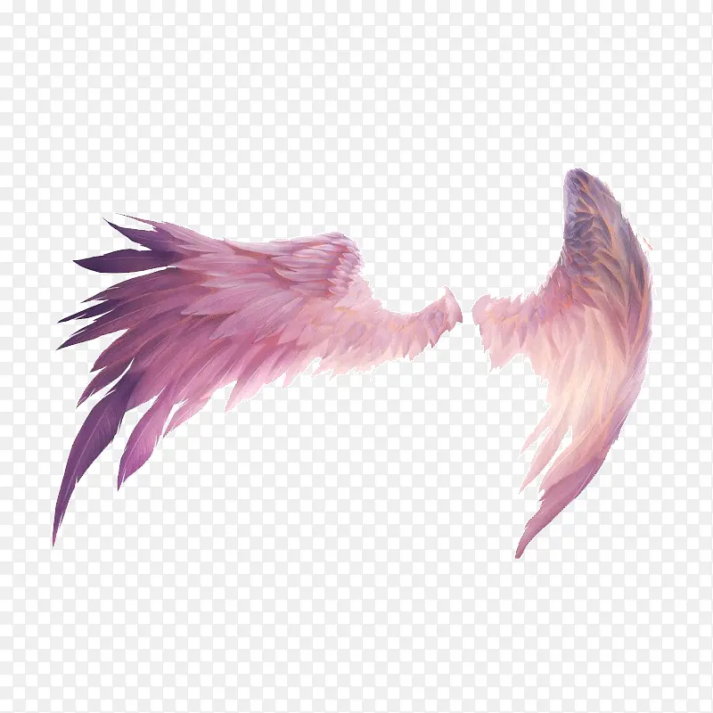 ��ɫ�ĳ��-������