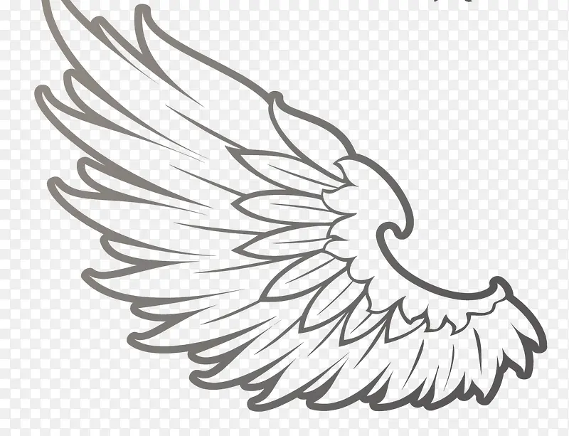 ��ɫ���-������