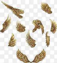 ��ͨ���-������