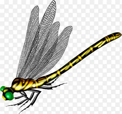 ��ͨ����-������