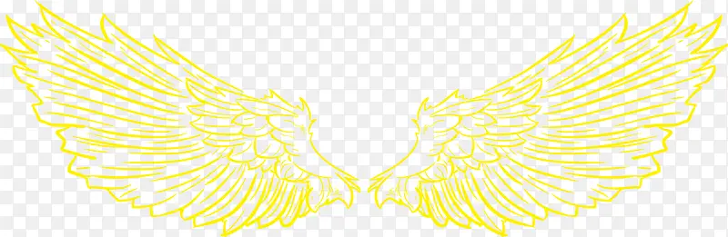 �ֻ��ɫ��ͨ������-������