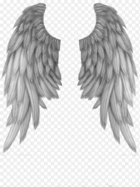 ��ɫ��ͨ����ֻ�-������