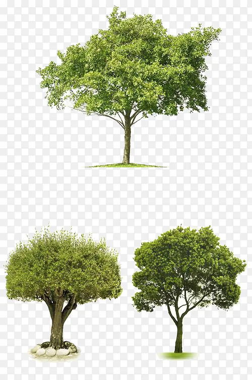 ����де���-������