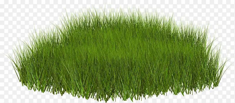 �̲�-������