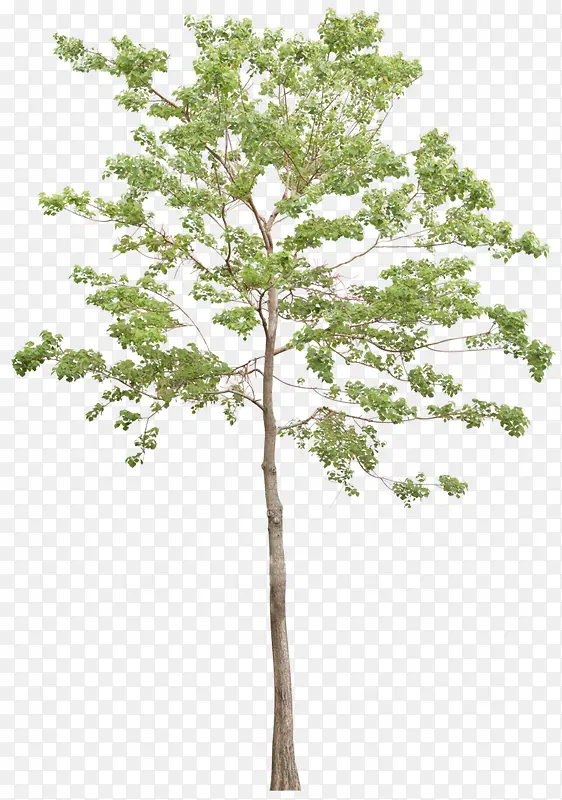 ïʢ�����ز�-������