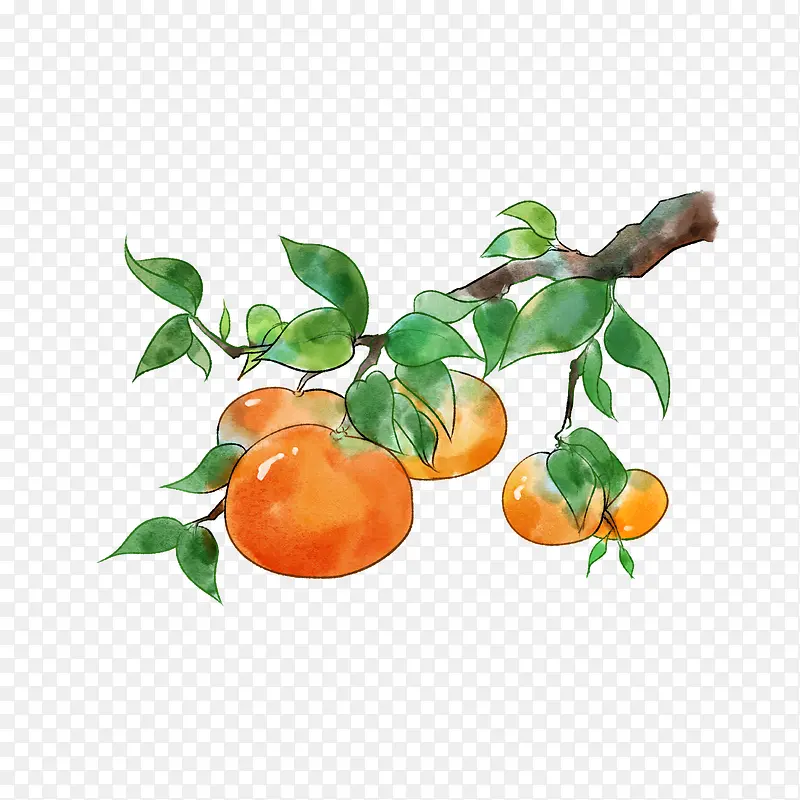 �óԵ�ˮ���߲�Ԫ��-������