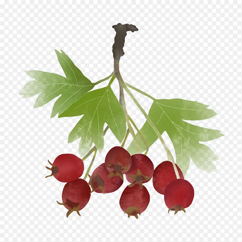 ��ζˮ��ɽ�Ԫ��-������