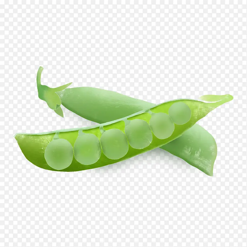 ��ζ�߲˶���Ԫ��-������