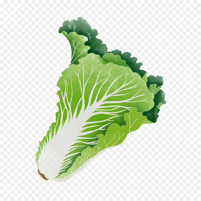 ��ζ�߲˽���-������