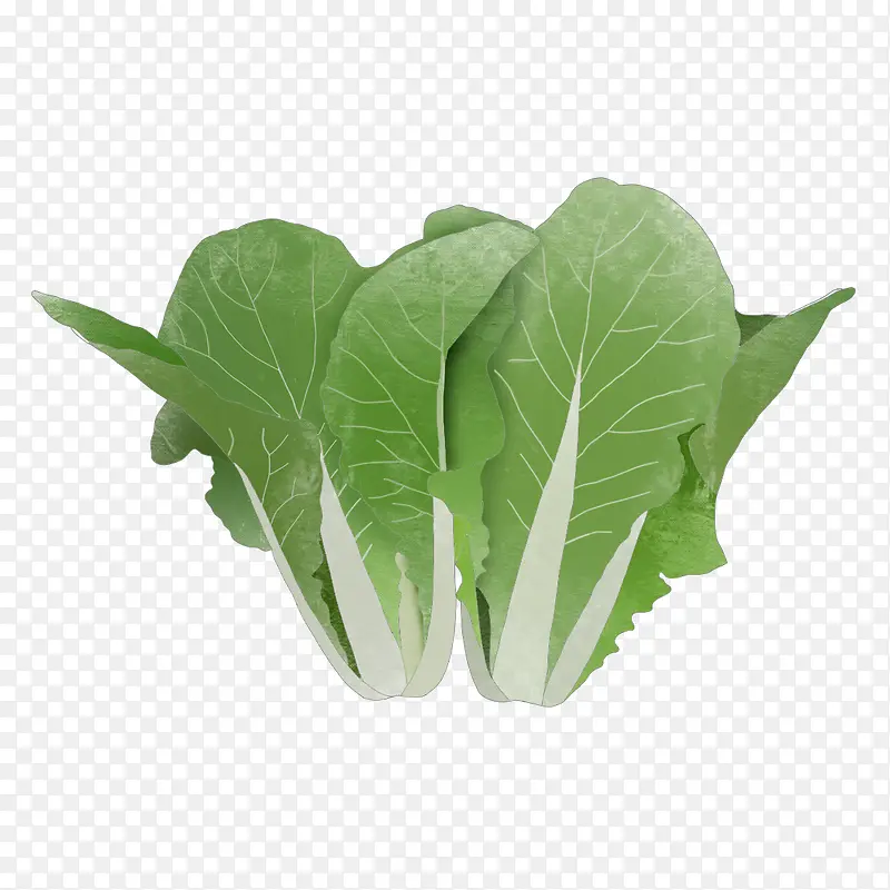 ��ζ�߲˴�ײ�Ԫ��-������