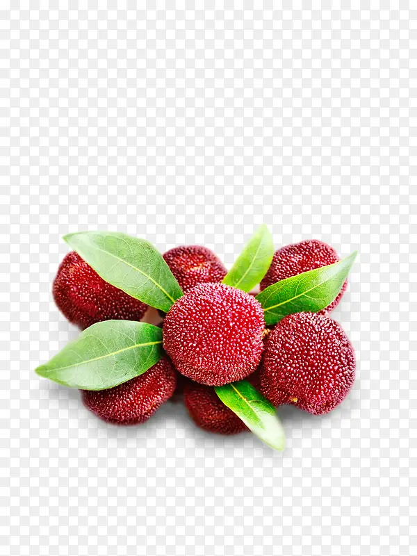 ��÷ ����ˮ��-������