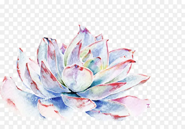 ֲ��-������