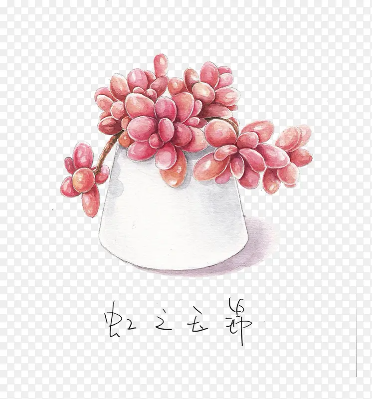 ֲ��-������