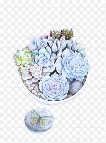 ֲ��-������