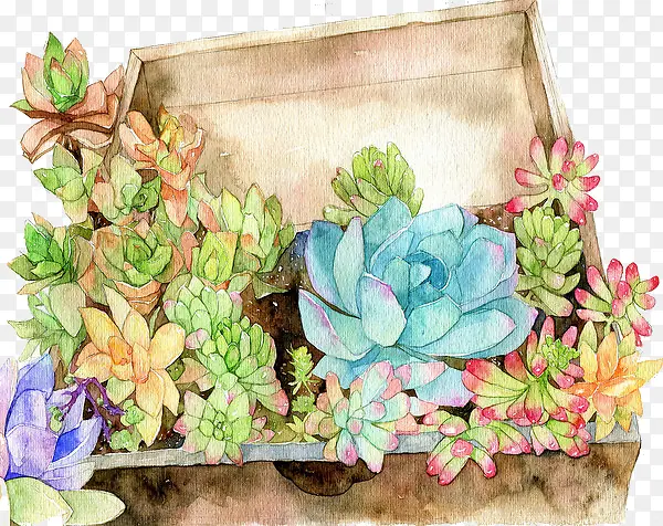 ֲ��-������