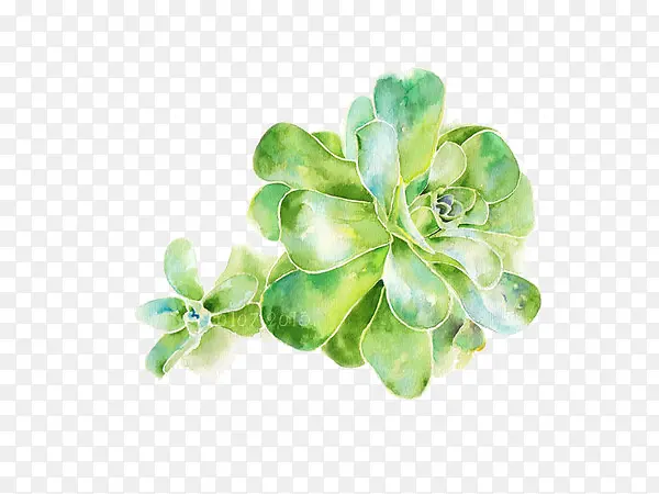 ֲ��-������