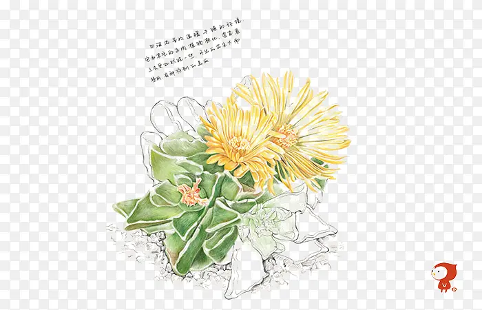 ֲ��-������