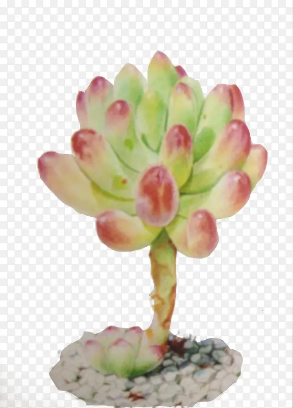 ֲ��-������