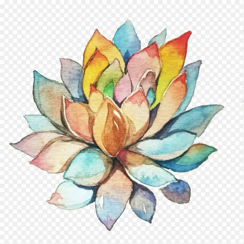 ֲ��-������