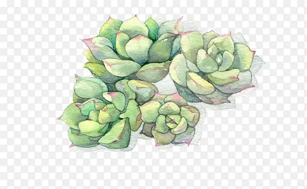 ����-������