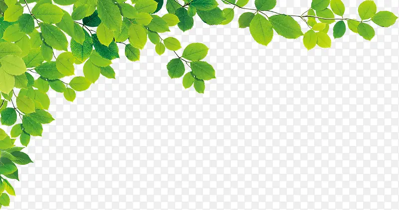 ���պ�����ҶЧ����Ӱ-������