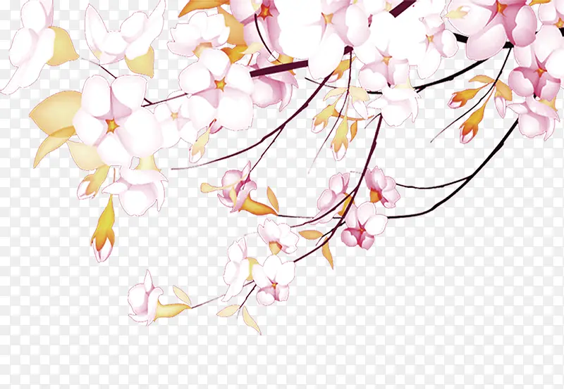 ��ͨӣ��-������