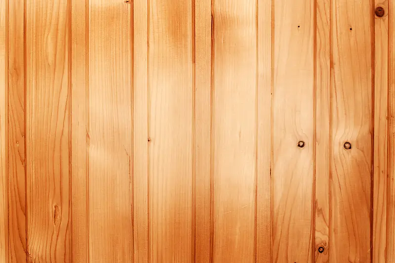 ľ����Ʊ���-������