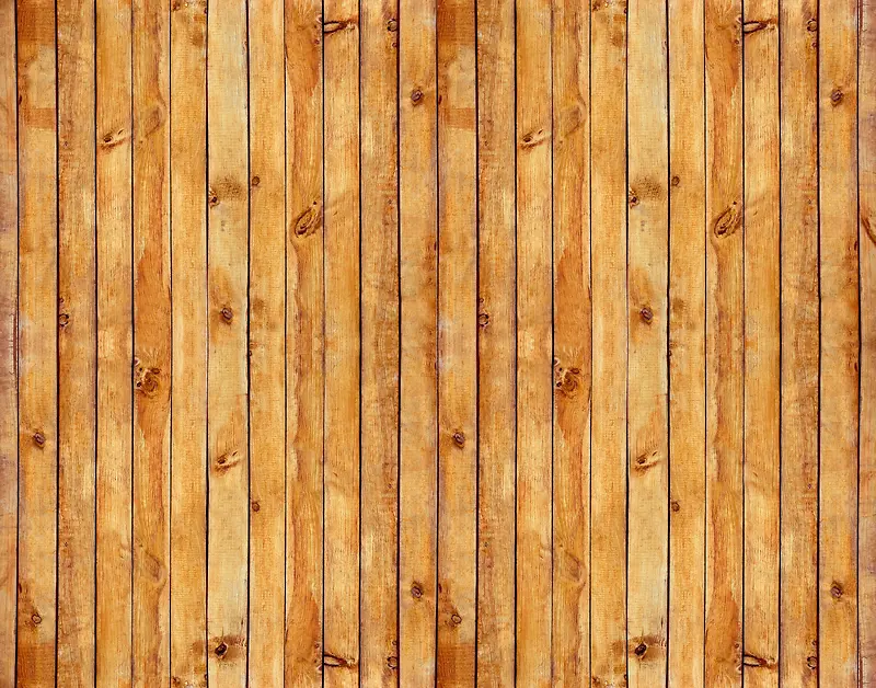 ľ�屳��-������