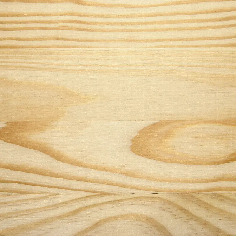 �ذ���Ӱ-������