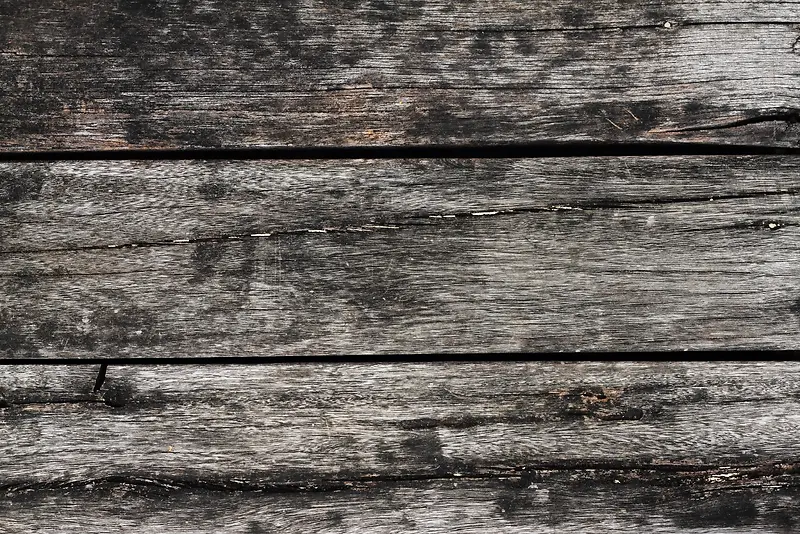 ����ľ����Ӱ-������