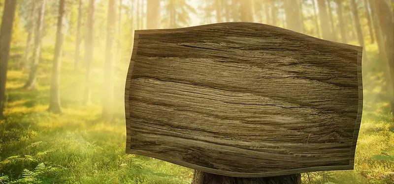 ľ����Ӱ����-������