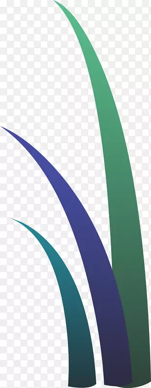 ��ֽ����-����-������