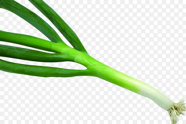 ���ʴ����ɫ�߲�-������