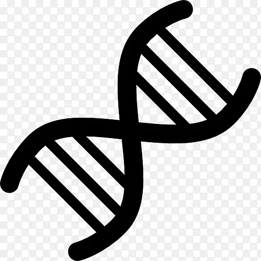 DNA����ͼ��-������