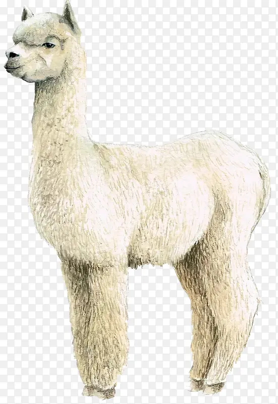 ������ ���� ��� ���� �ɰ�-������