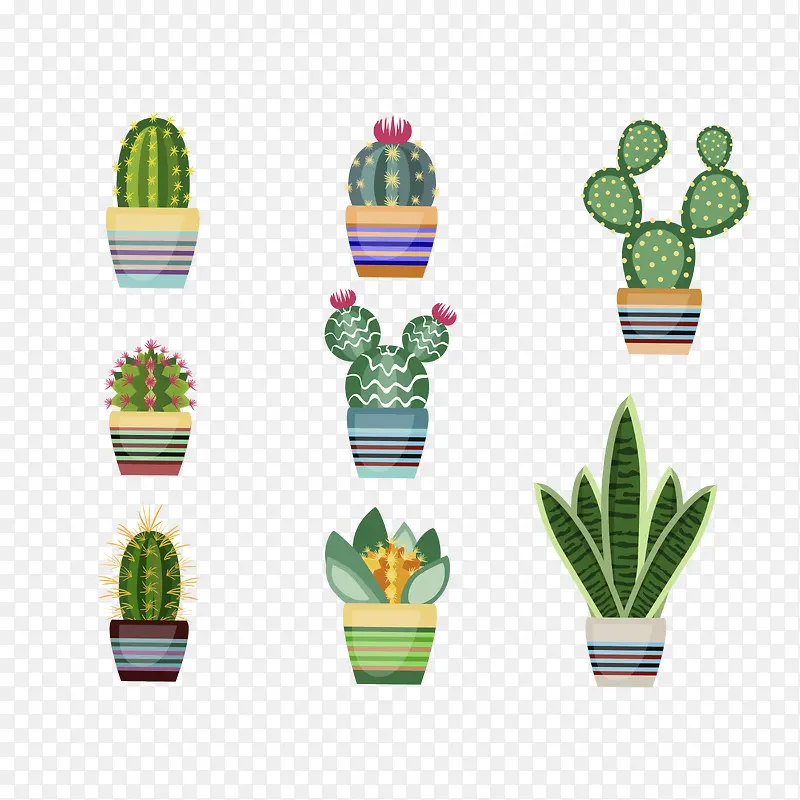 �ɰ���ɫ������-������