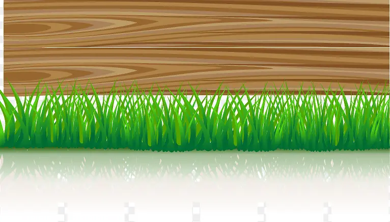 ����ľ���̲�-������