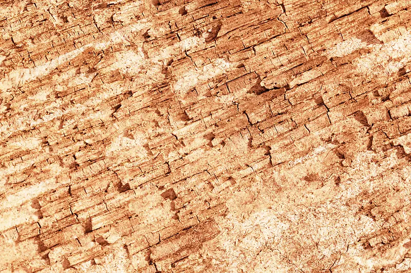 ľ�����Ʊ���-������