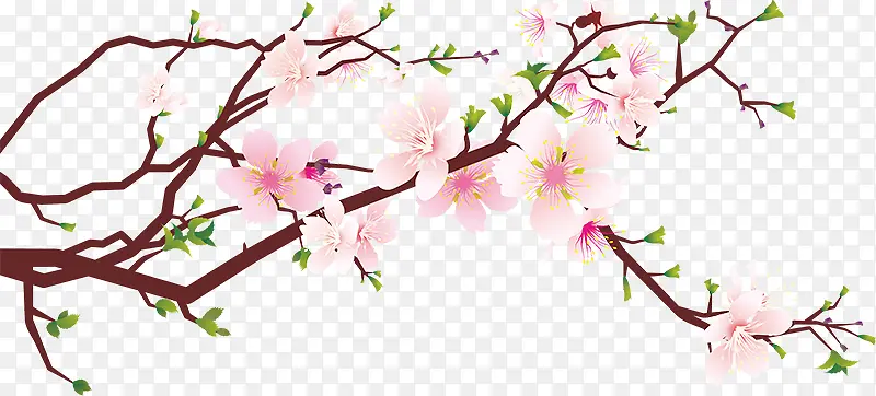 �һ��ֻ�������-������