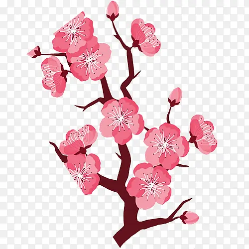 ��ͨ�ֻ��һ�-������