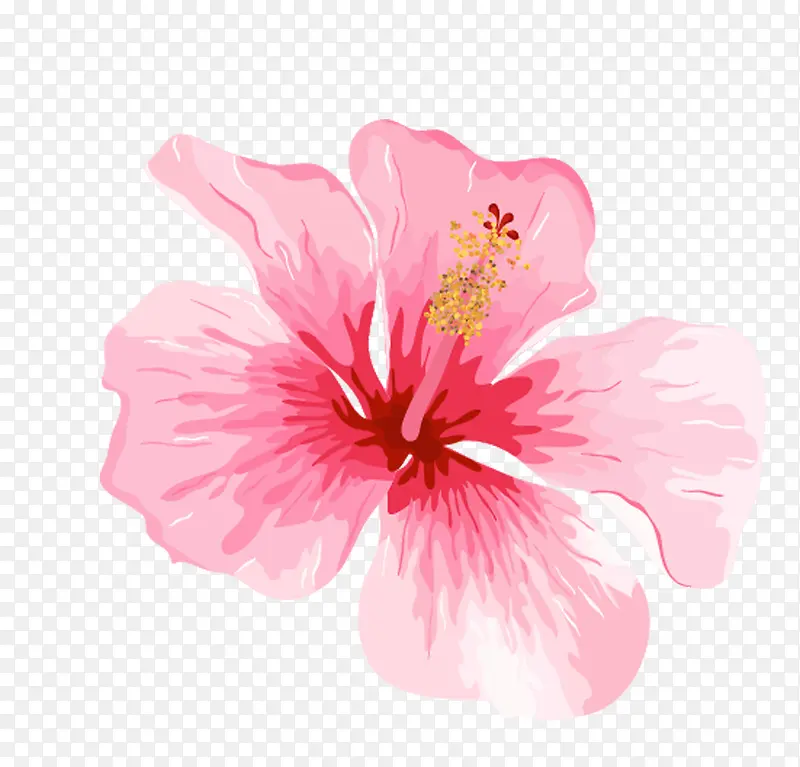 �ֻ��һ�-������