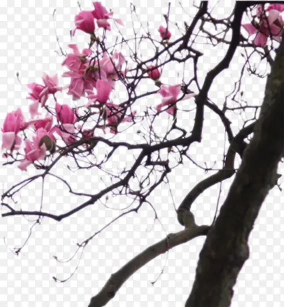 �һ���-������