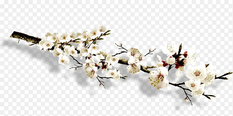 ������Ӱ��ɫ�һ��ϳ�-������