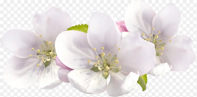 ��ɫ�һ�ʵ��-������