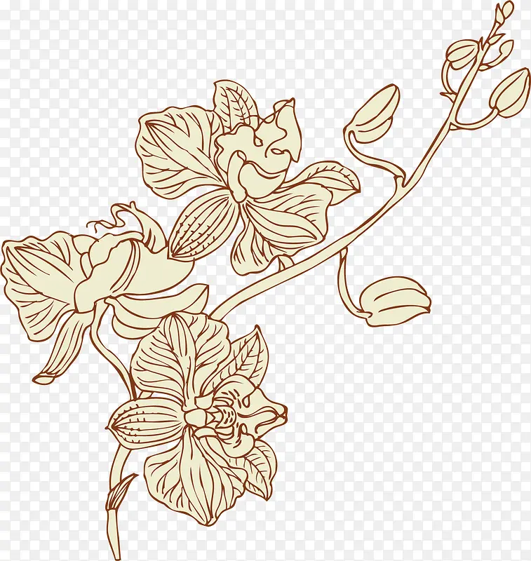 ��ͨ�ֻ滨֦-������