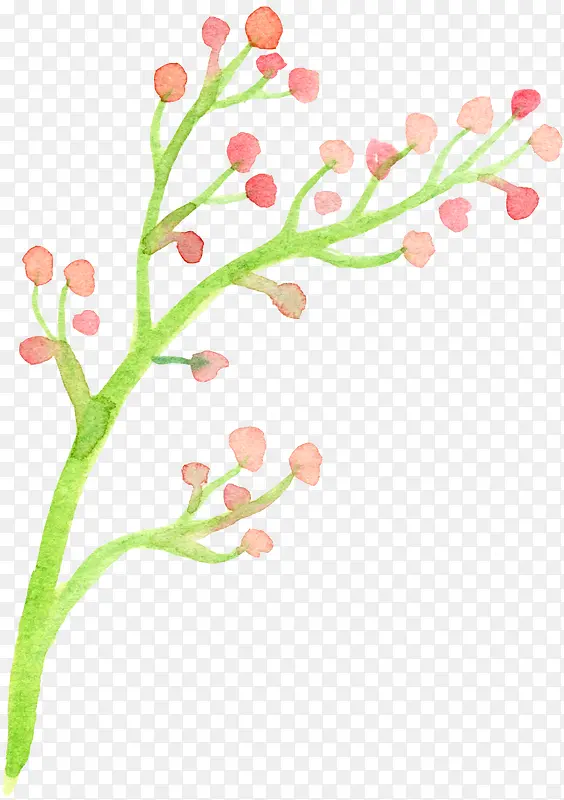 ˮ�ʻ���֦������Լ-������